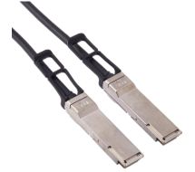 Intel - Netzwerkkabel - QSFP28 (M) bis QSFP28 (M) 