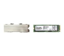 Z Turbo Drive Kit - 256 GB SSD - intern - PCI Express - Self-Encrypting Drive