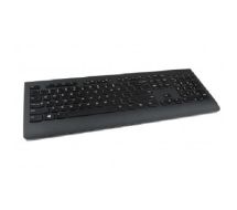 Professional - Tastatur - kabellos - 2.4 GHz 