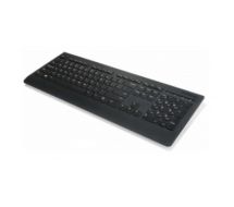 Professional - Tastatur - kabellos - 2.4 GHz 