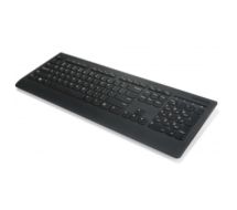 Professional - Tastatur - kabellos - 2.4 GHz 