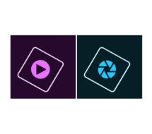 PHSP + PREM ELEM 2021