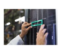 568FLR-T - Netzwerkadapter - 10Gb Ethernet x 2 