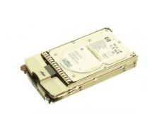 300GB 10K FC HDD Asm