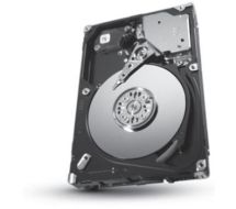 Seagate Enterprise ST300MP0006 internal hard drive 2.5" 300 GB SAS