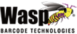 Wasp