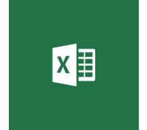 EXCEL