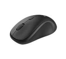 TM-250 WIRELESS MOUSE