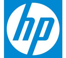 HP Flash Backed Write Cache RAID-Controller 