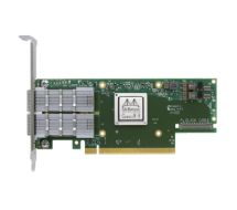 Mellanox ConnectX-6 - Kundeninstallation - Netzwerkadapter 