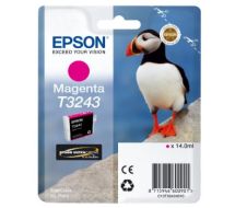 Epson C13T32434010 (T3243) Ink cartridge magenta, 980 pages, 14ml