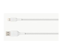 LIGHTNING BLADE/SYNC CABLE