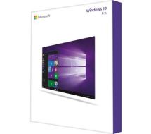 Windows 10 Pro - Lizenz - 1 Lizenz - OEM - DVD 