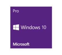 Microsoft Windows 10 Pro x64 FQC-08922