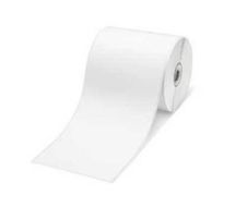 RDS01E2 - Papier  - Rolle (10,2 cm x 44,3 m) 