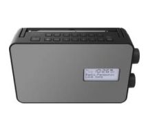 RF-D30BTEG - Tragbar - Digital - FM - 2 W - 1-Weg - 10 cm 