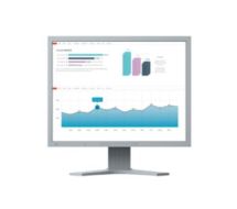 FlexScan S2133-GY - LED-Monitor - 54 cm (21.3") 