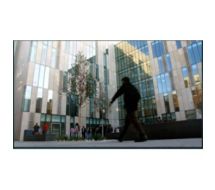 TH-48LFE8E - 120.9 cm (48") Diagonalklasse LFE8 LCD-Display mit LED-Hintergru