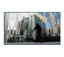 TH-65LFE8E - 163.8 cm (65") Diagonalklasse LFE8 LCD-Display mit LED-Hintergru