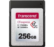 CFexpress 820 - Flash-Speicherkarte 