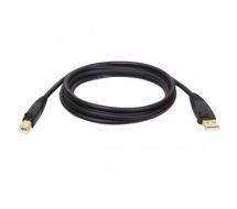 Tripp Lite USB 2.0 Hi-Speed A/B Cable (M/M), 3.05 m (10-ft.)