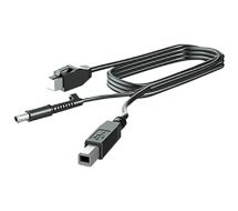 DisplayPort-Kabel - DisplayPort (M) bis DisplayPort (M) 